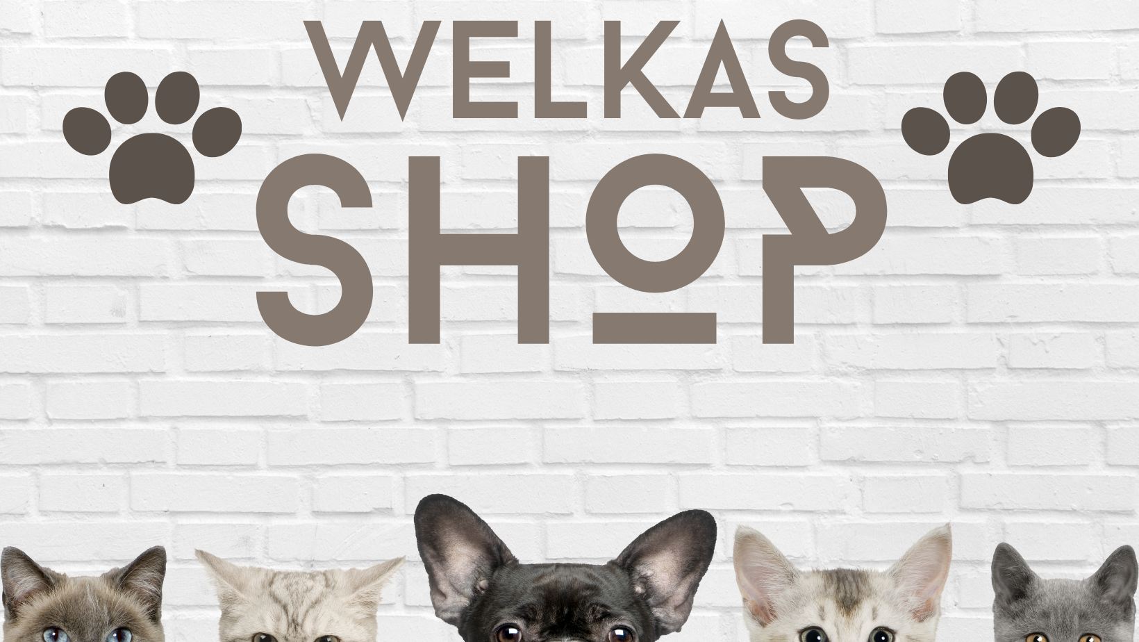 Welkas-Shop Gutschein