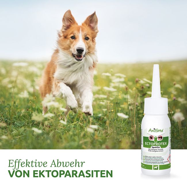 AniForte® Ectoprotex Spot-on für Hunde gegen Zecken, Flöhe & Milben, mit Margosa-Extrakt