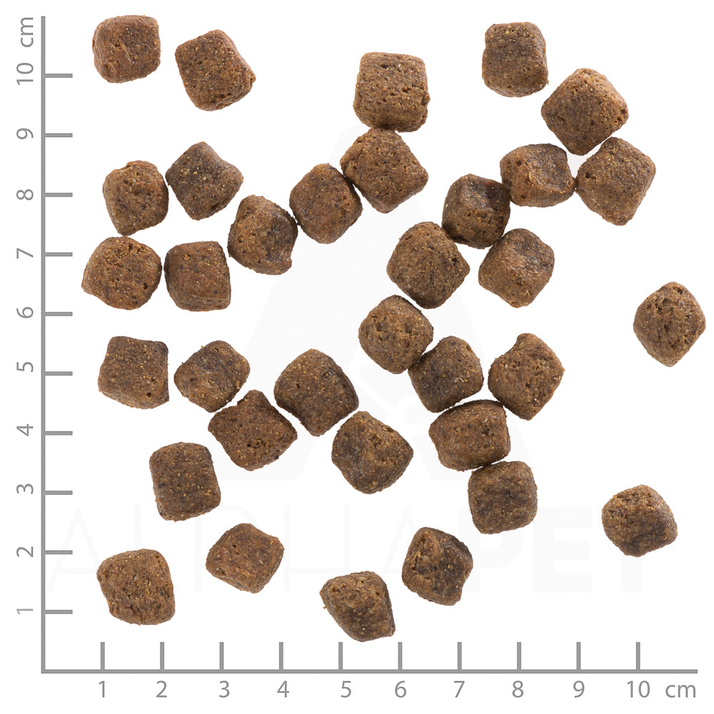 Wolfsblut Black Bird Adult Truthahn Süßkartoffel ohne Getreide gut verträglich