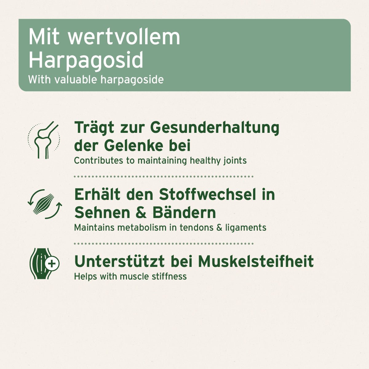 Aniforte Afrikanische Teufelskralle Gelenk- und Sehnenschutz
