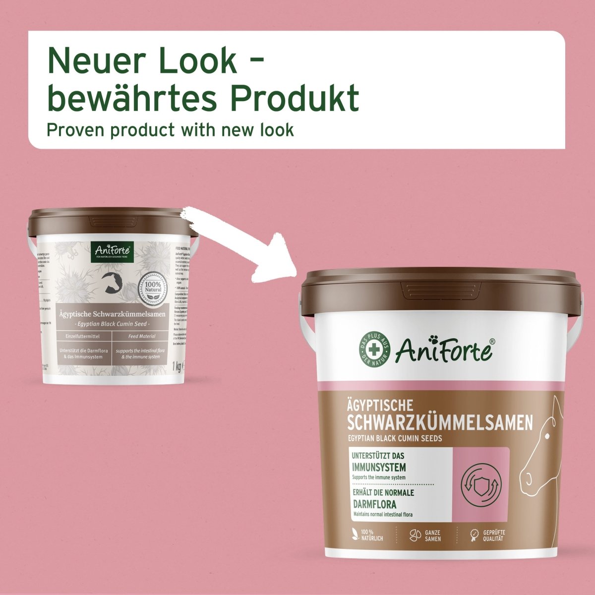 Aniforte Ägyptische Schwarzkümmelsamen Immunsystem & Darmflora