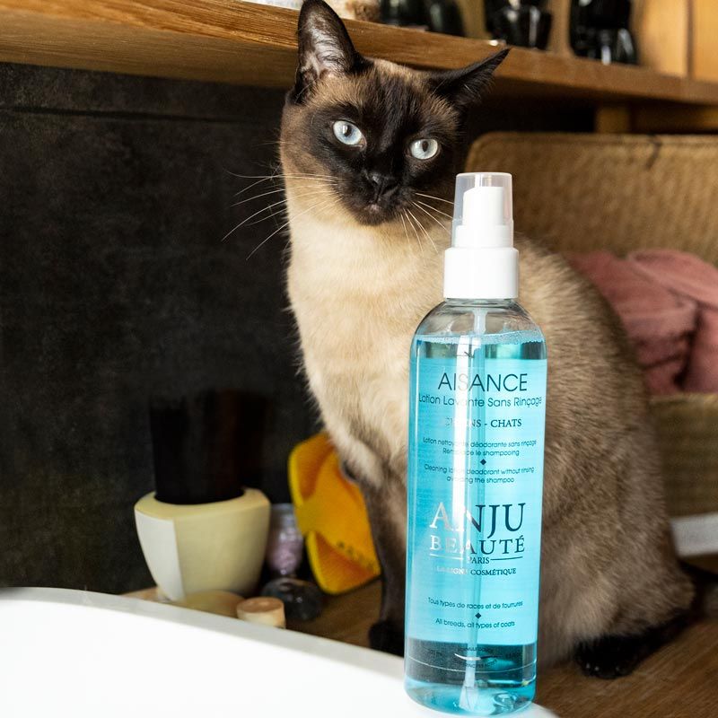Anju Beauté Aisance – Trockenshampoo für Hunde & Katzen