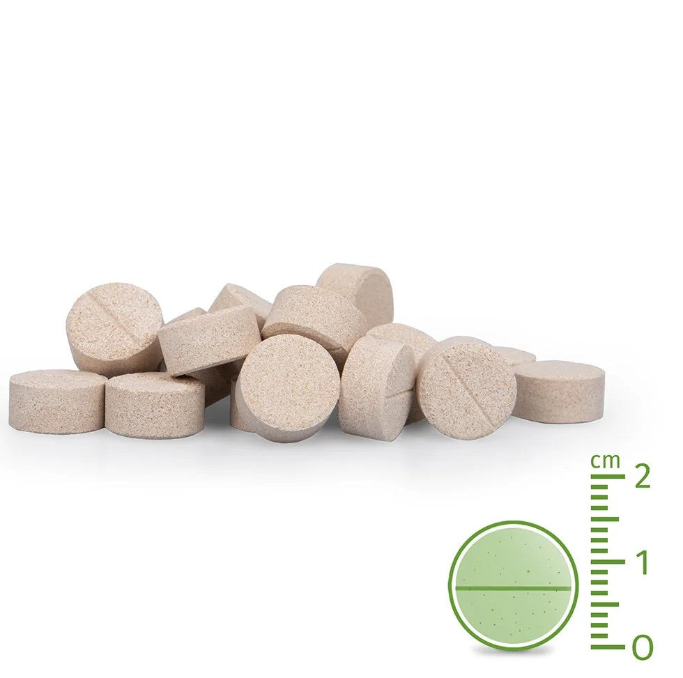 AniForte® plus Magen & Darm zur Linderung akuter Resorptionsstörungen des Darms für Hunde, 90 Stück