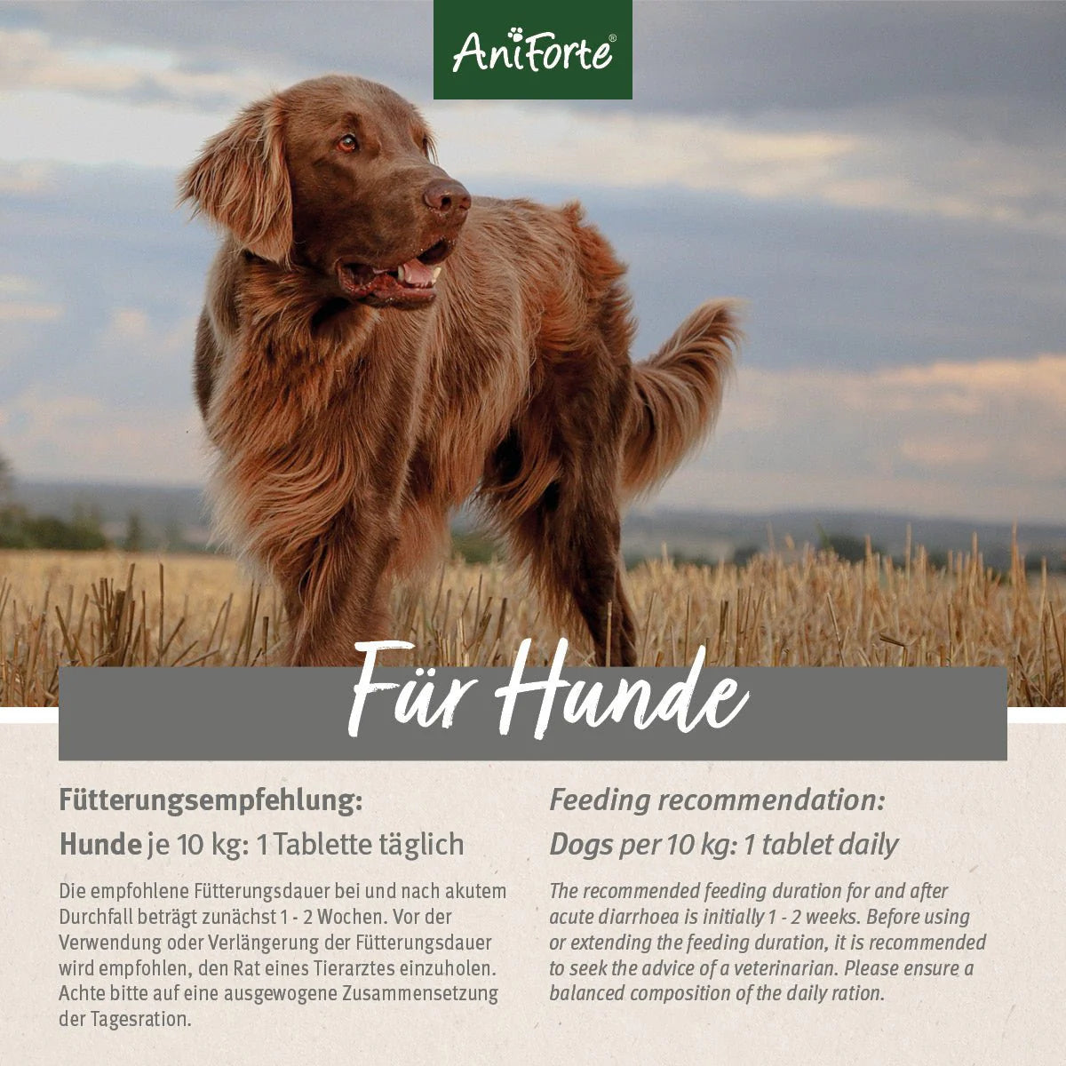 AniForte® plus Magen & Darm zur Linderung akuter Resorptionsstörungen des Darms für Hunde, 90 Stück