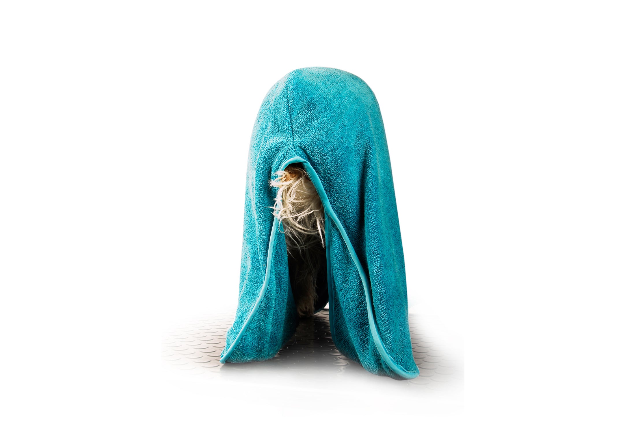 Show Tech+ Dry Dude Bathrobe, Haustierbademantel, Hundebademantel aus hochwertiger Mikrofaser