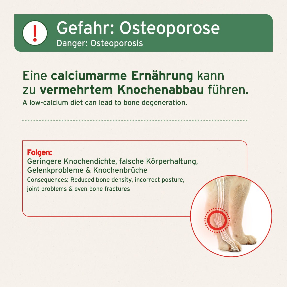 AniForte BARF-Line Gemahlene Knochen vom Pferd – Calcium für starke Knochen & Gelenke