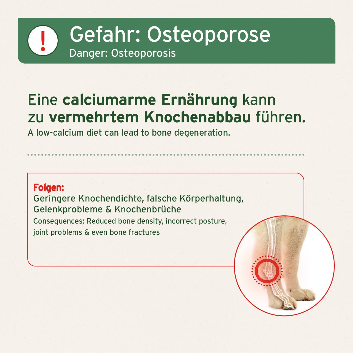 Aniforte BARF-Line Gemahlene Rinderknochen – Calcium für starke Knochen Gelenke