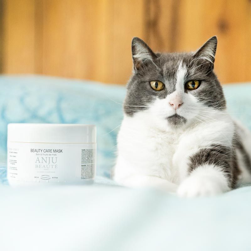 Anju Beauté Beauty Care Mask – Pflegemaske & Conditioner für Hunde und Katzen, 250 ml