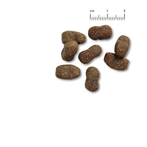 Belcando Trockenfutter Adult GF Beef, Rind und Fisch