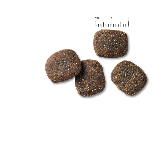 Belcando Trockenfutter Adult Power, Geflügel und Fisch