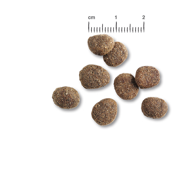 BELCANDO Trockenfutter Finest GF Senior, Geflügel und Fisch