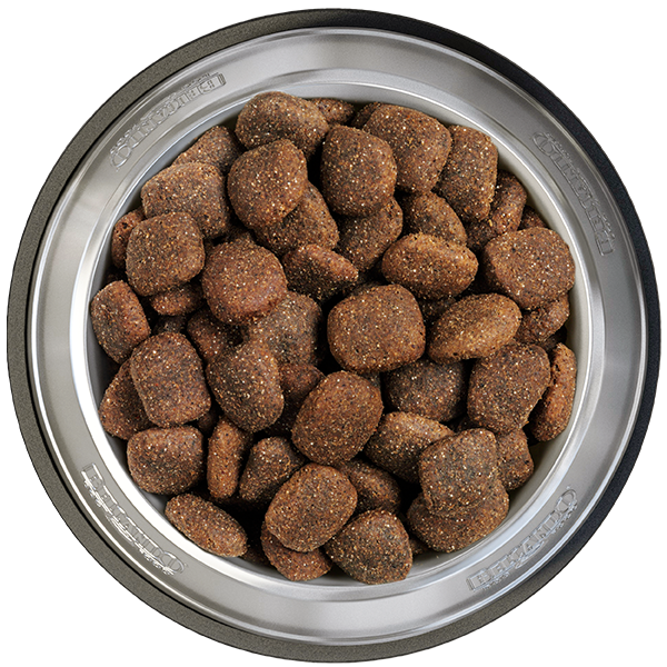 Belcando Trockenfutter Adult Power, Geflügel und Fisch