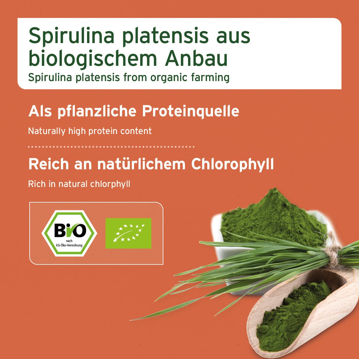 AniForte Bio Spirulina Pulver Immunsystem & Stoffwechsel für Hunde & Katzen 250gr