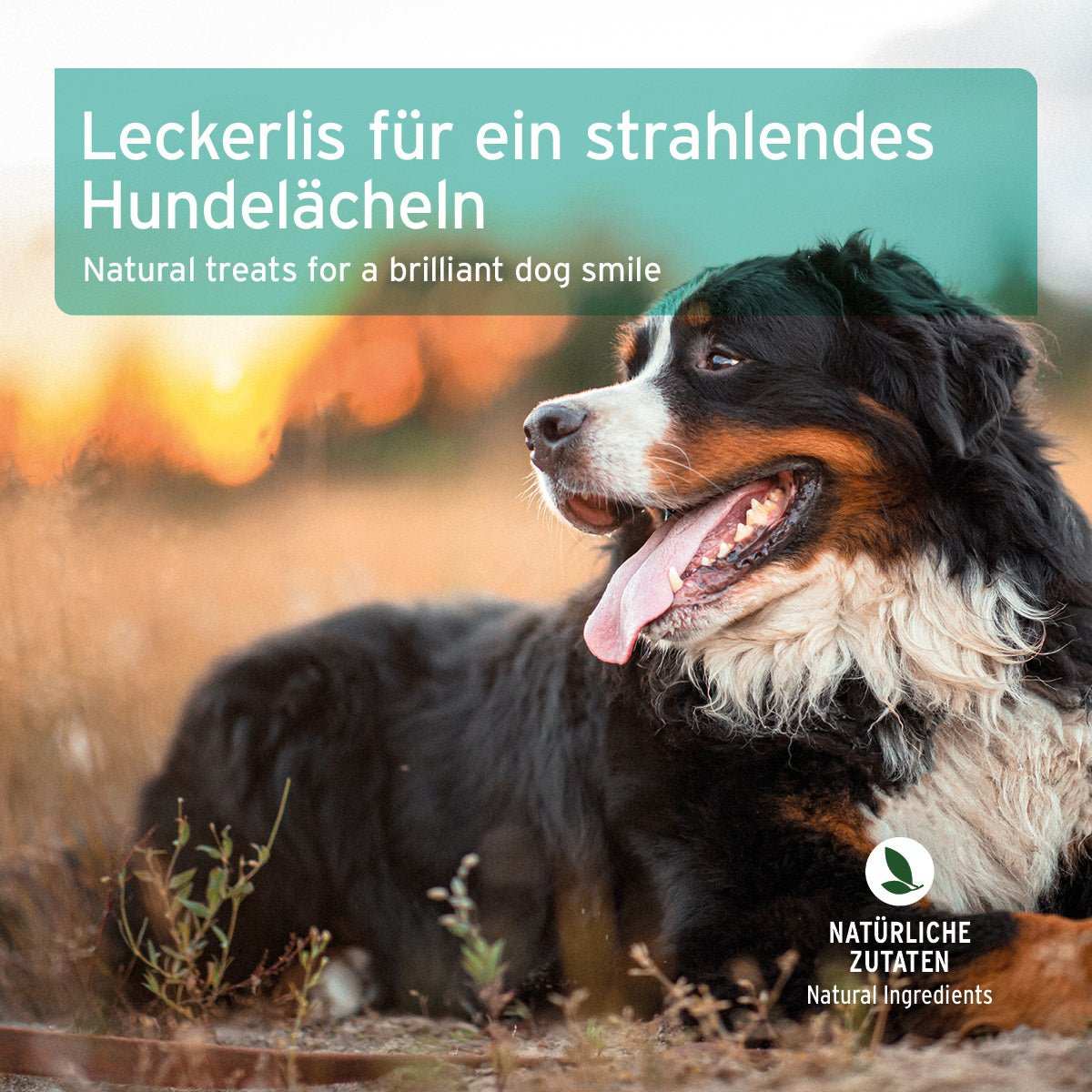 AniForte Denta-Snack natürliche Mundhygiene