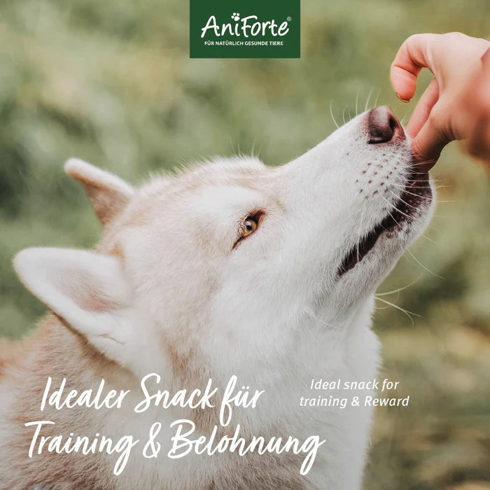AniForte Dog Snacks Obst & Gemüse, vegetarische Leckerli für Training & Belohnung, 100 % Obst & Gemüse, 150g