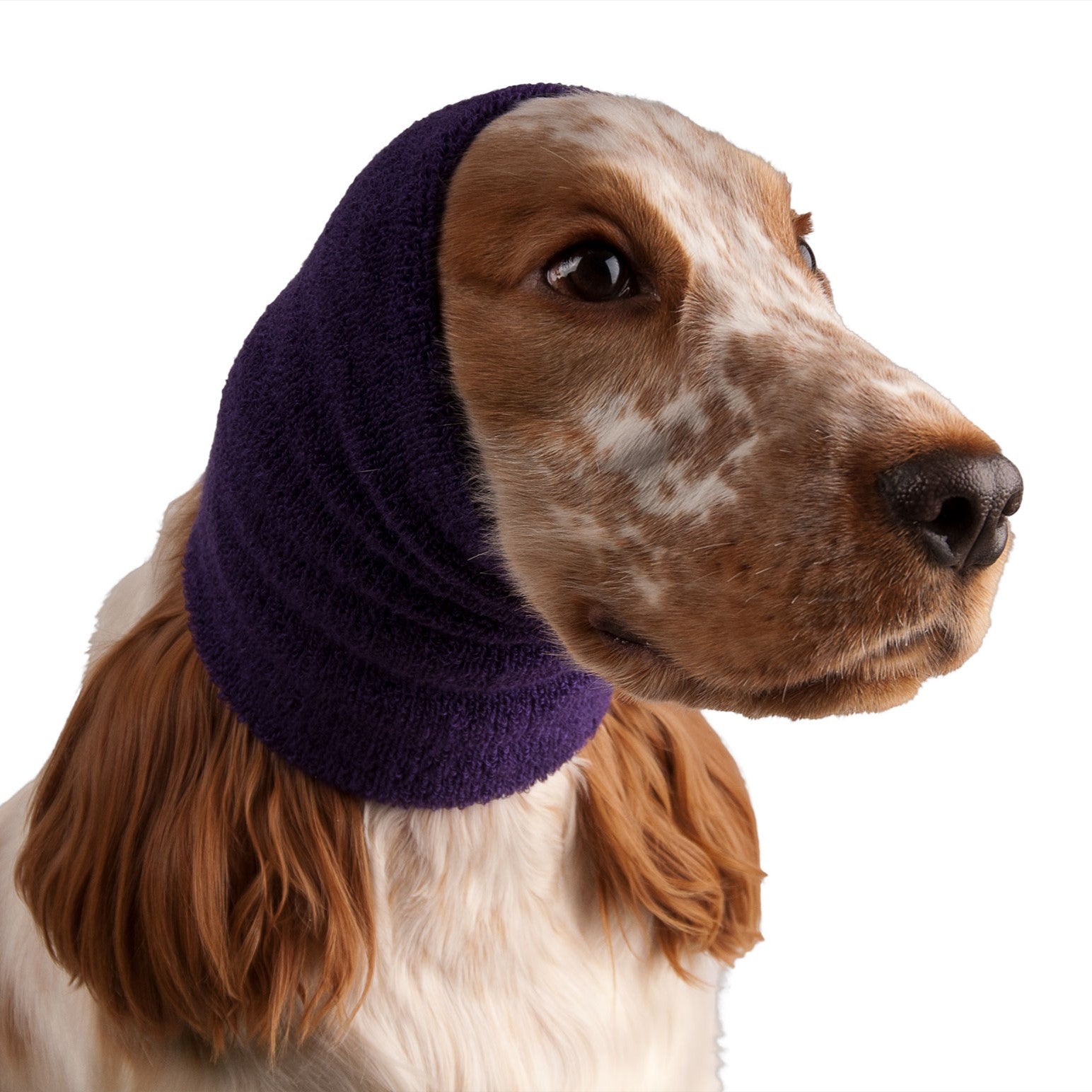 Show Tech Ear Buddy, Ohrenschutz, Geräuschschutz für Hunde aller Rassen