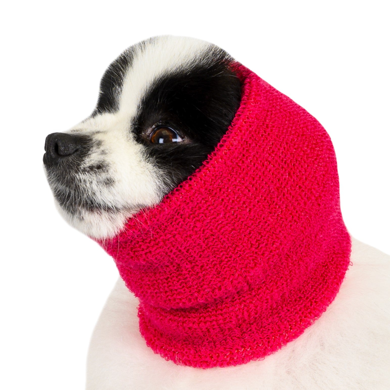 Show Tech Ear Buddy, Ohrenschutz, Geräuschschutz für Hunde aller Rassen