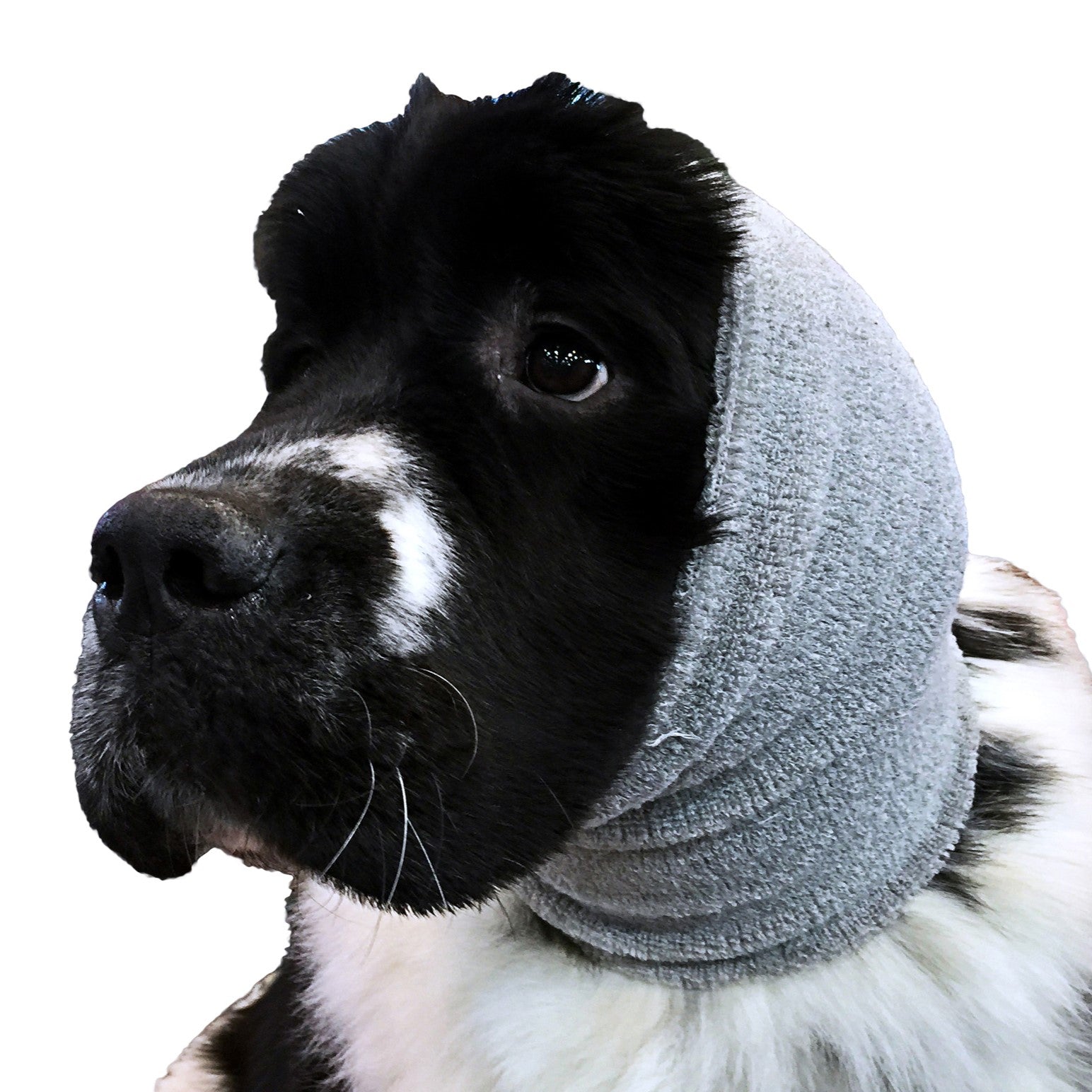 Show Tech Ear Buddy, Ohrenschutz, Geräuschschutz für Hunde aller Rassen