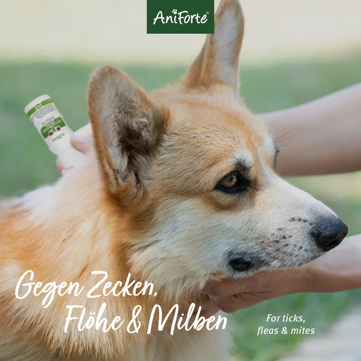 AniForte® Ectoprotex Spot-on für Hunde gegen Zecken, Flöhe & Milben, mit Margosa-Extrakt