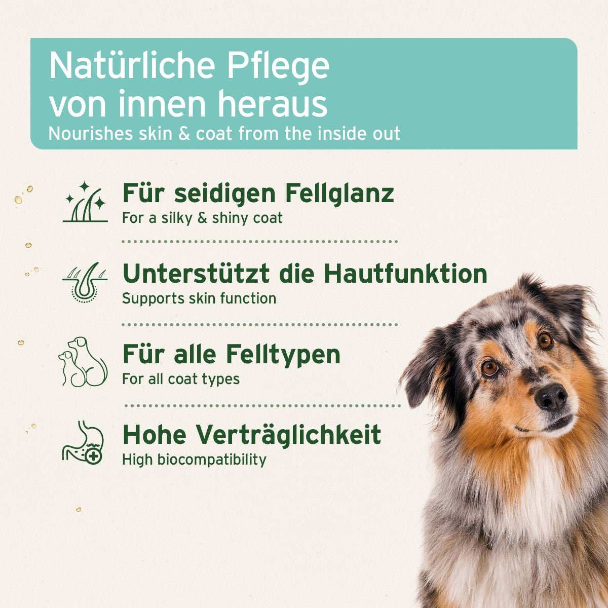 AniForte Fellharmonie Futteröl – Ansicht 2