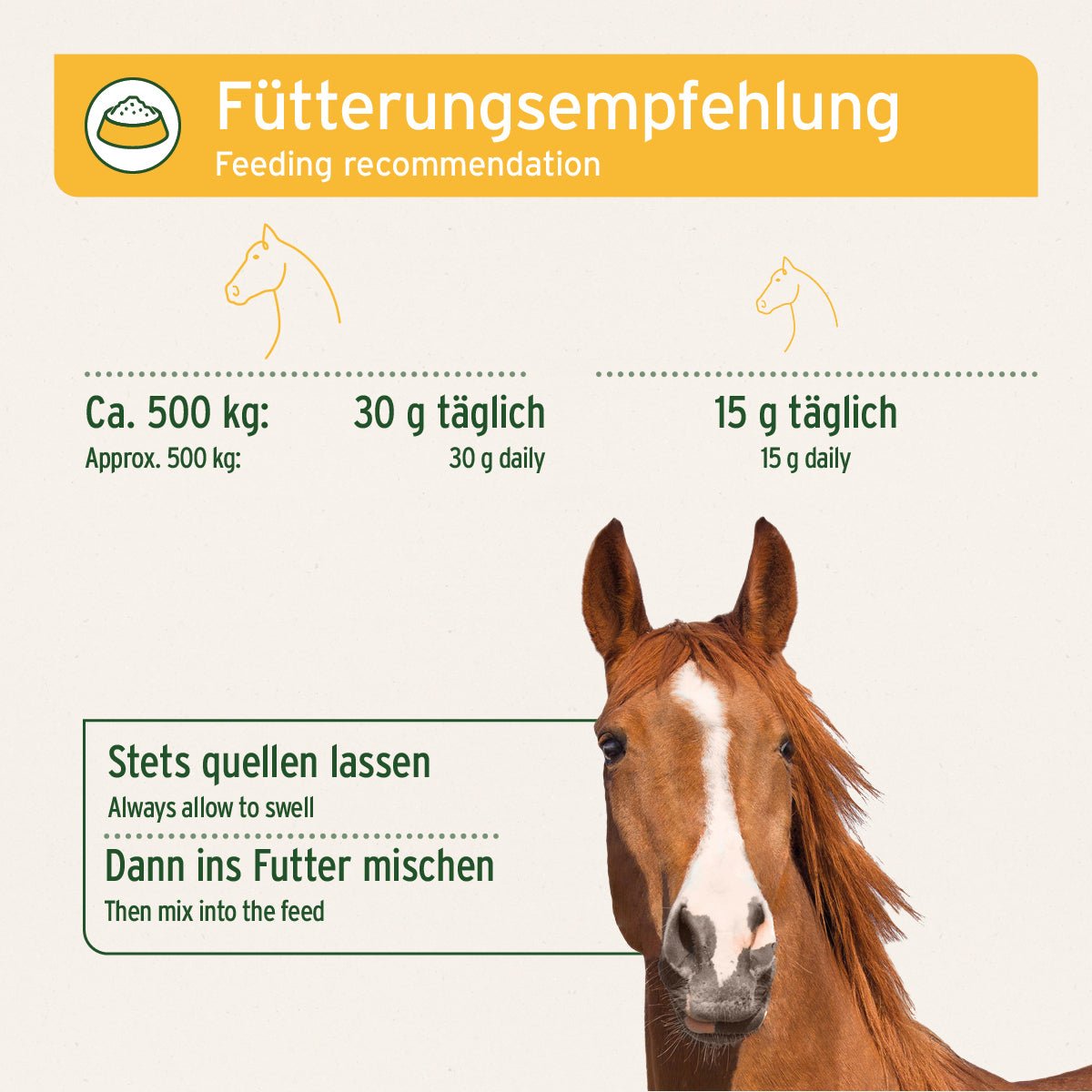 Aniforte Flohsamenschalen Unterstützung Verdauung & Darm für Pferde