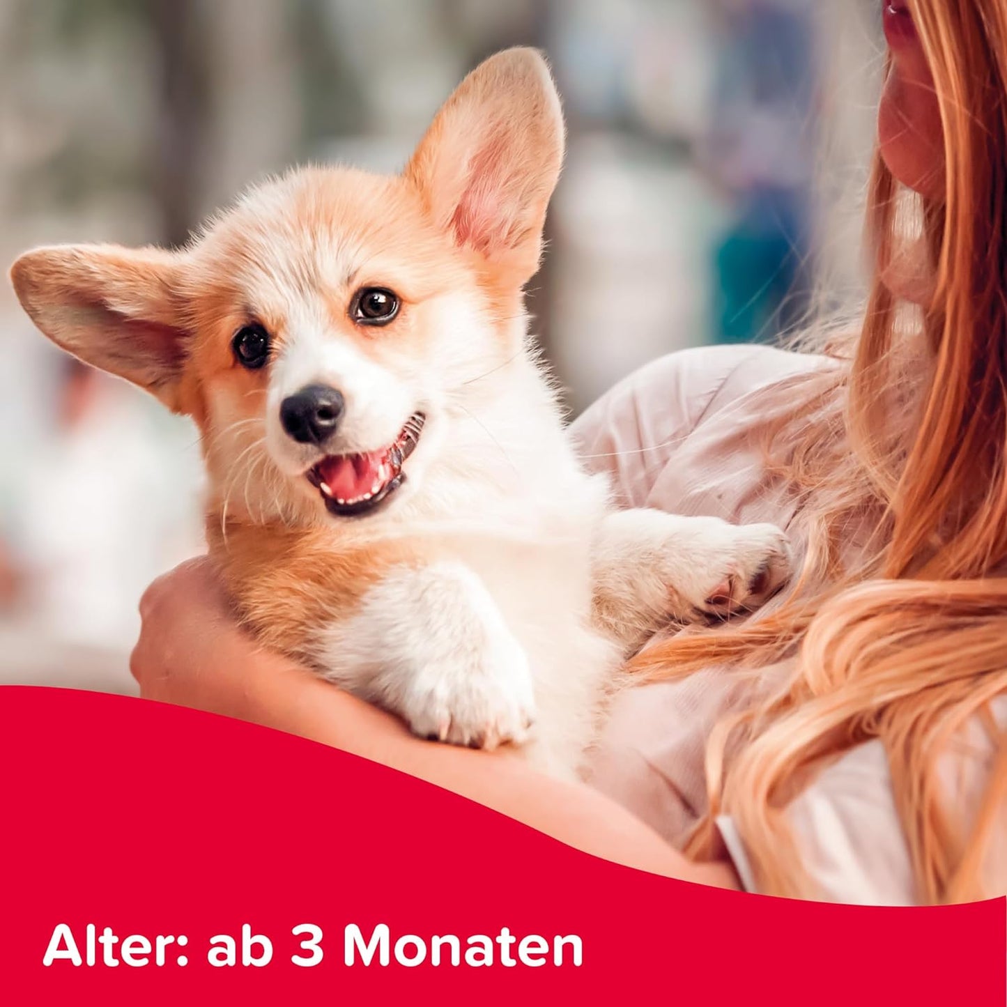 BEAPHAR - Flohschutz-Shampoo für Hunde ab 3 Monaten - Sofortschutz Flöhe, gesundes Fell, 250 ml