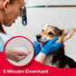 BEAPHAR - Flohschutz-Shampoo für Hunde ab 3 Monaten - Sofortschutz Flöhe, gesundes Fell, 250 ml