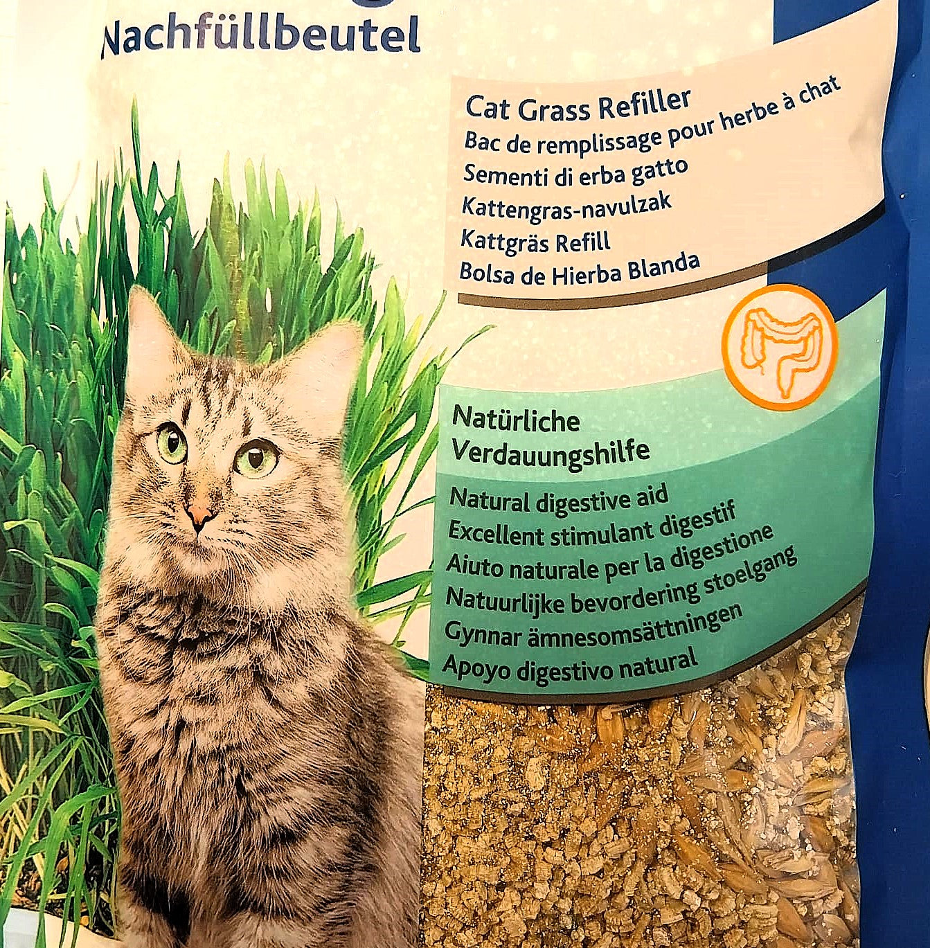 Trixie Katzengras, Gerstensaat als natürliche Verdauungshilfe zum Selbstziehen, 100g