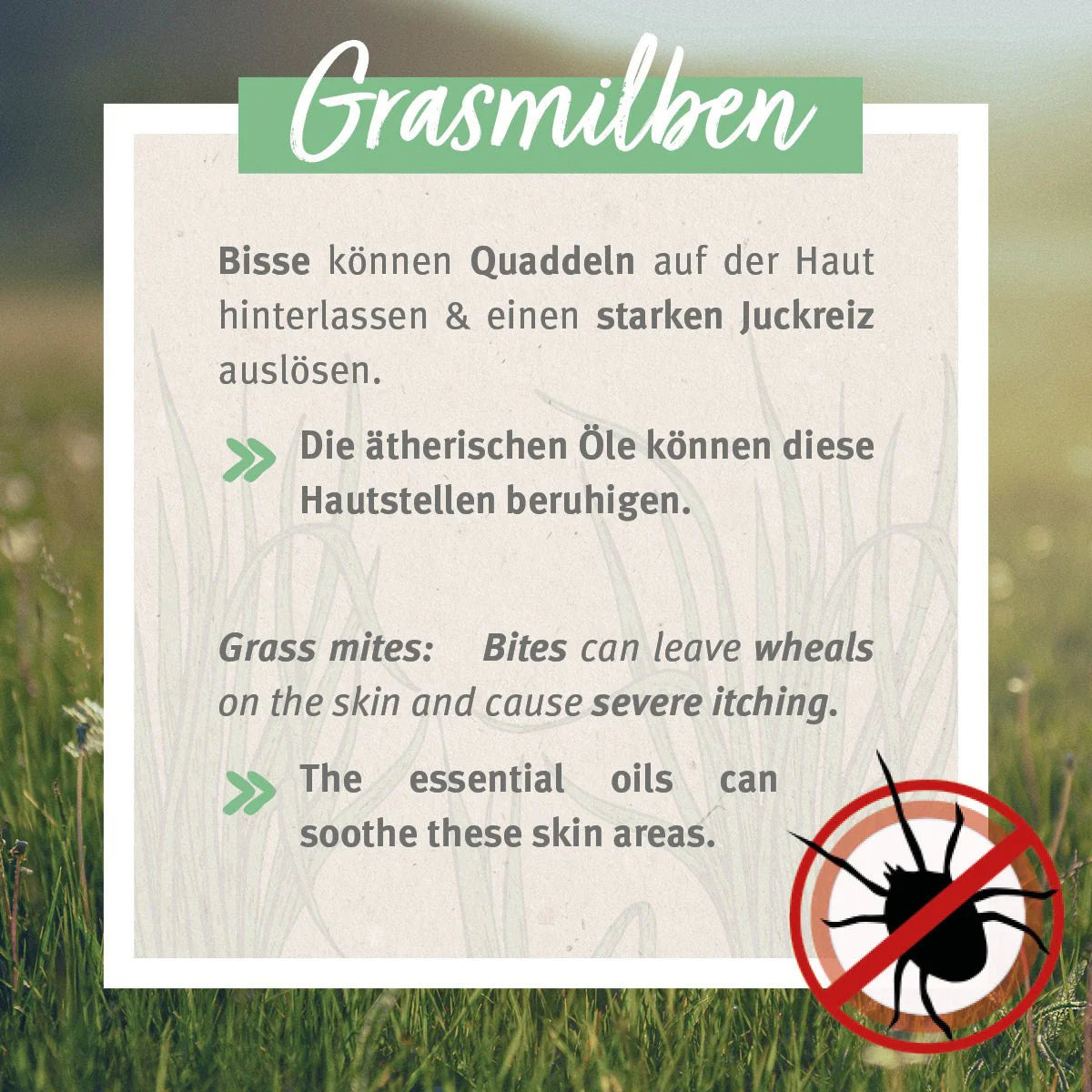 AniForte Grasmilben-EX Spray - Repellent zur Grasmilbenabwehr mit Pflege gereizter Hautstellen, für Hunde