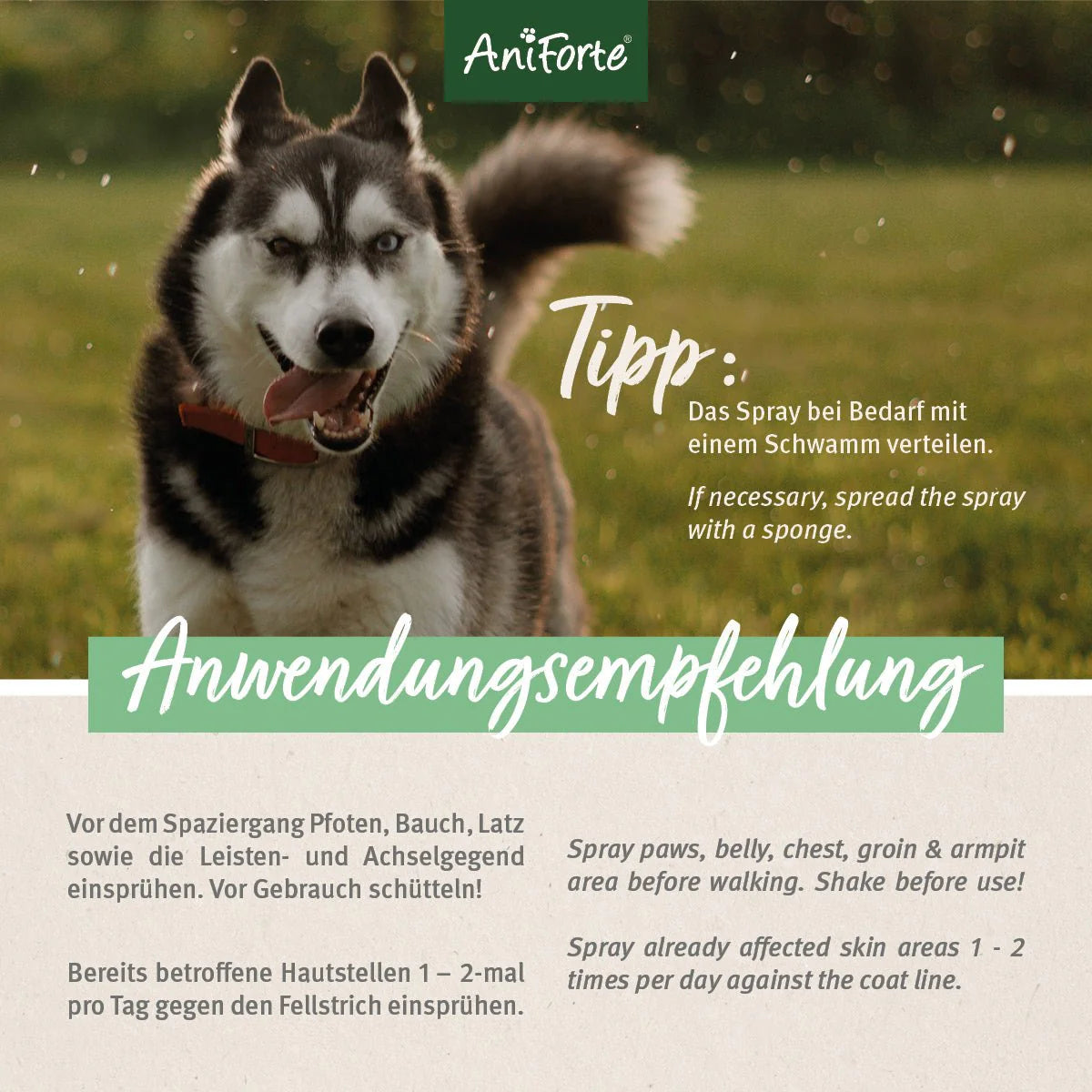 AniForte Grasmilben-EX Spray - Repellent zur Grasmilbenabwehr mit Pflege gereizter Hautstellen, für Hunde