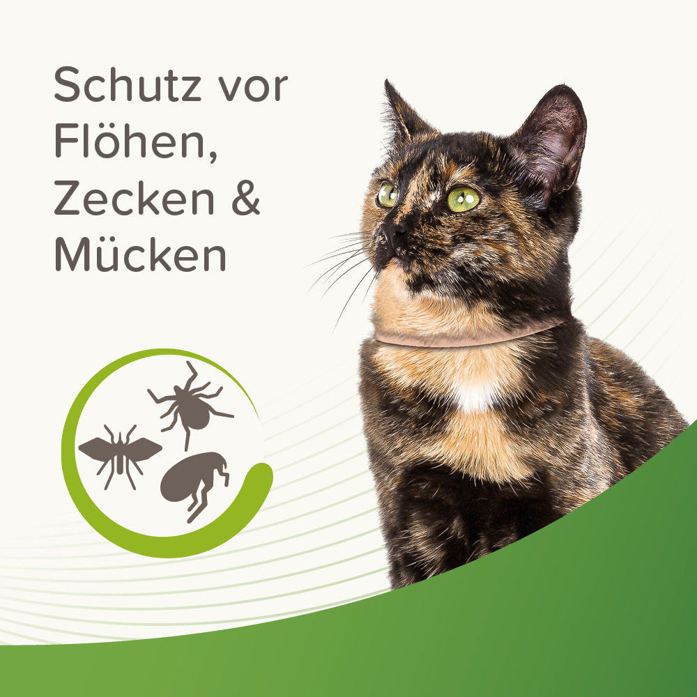 Beaphar Zecken- und Flohschutz Halsband für Katzen, für Tiere ab 12 Wochen geeignet 35cm, beige