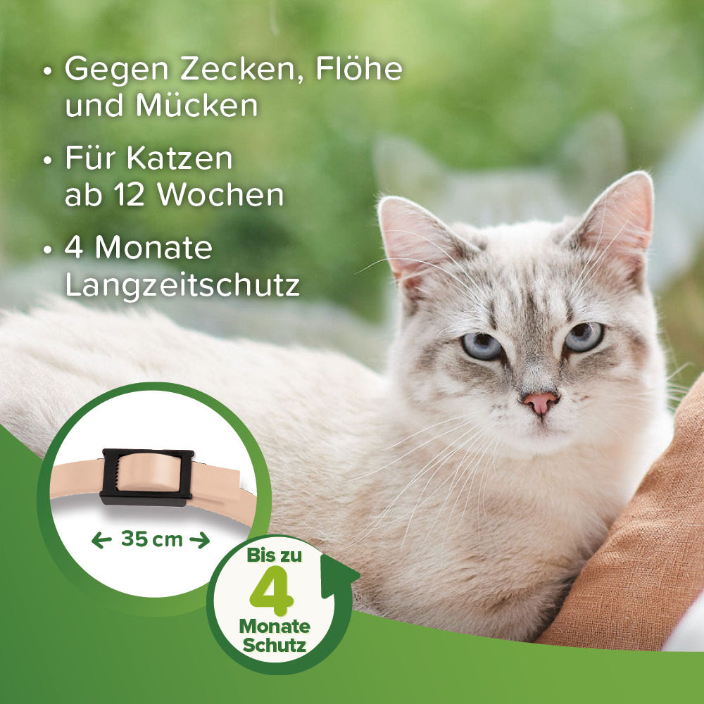 Beaphar Zecken- und Flohschutz Halsband für Katzen, für Tiere ab 12 Wochen geeignet 35cm, beige