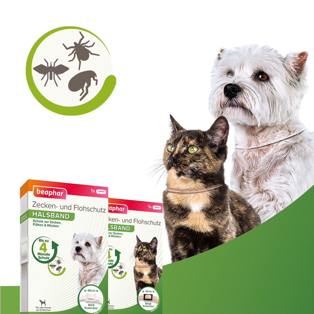 Beaphar Zecken- und Flohschutz Halsband für Katzen, für Tiere ab 12 Wochen geeignet 35cm, beige