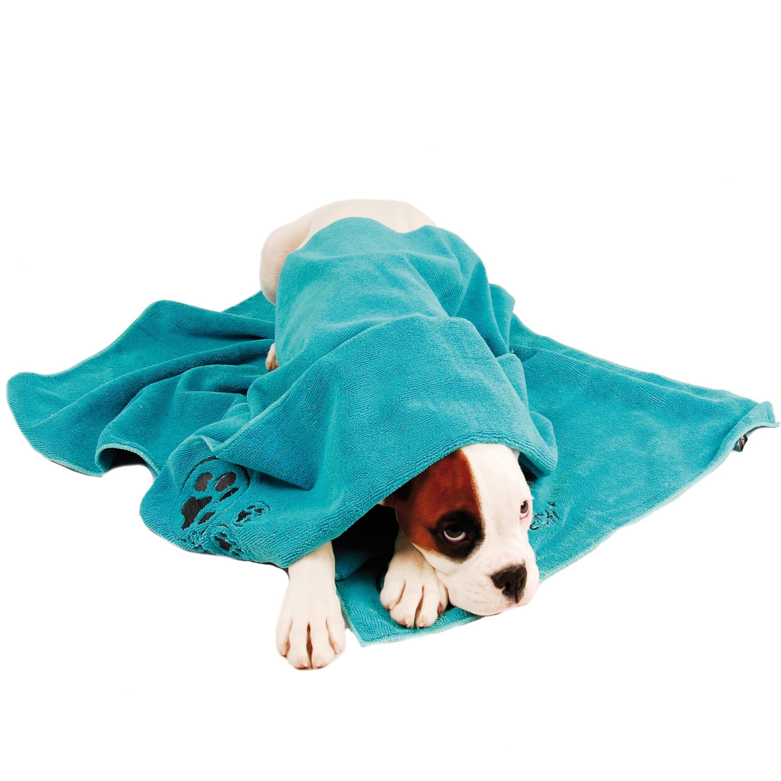 Show Tech+ Microfibre Towel, Mikrofaserhandtuch für alle Haustiere, Hundehandtuch Katzenhandtuch, 56x90 cm