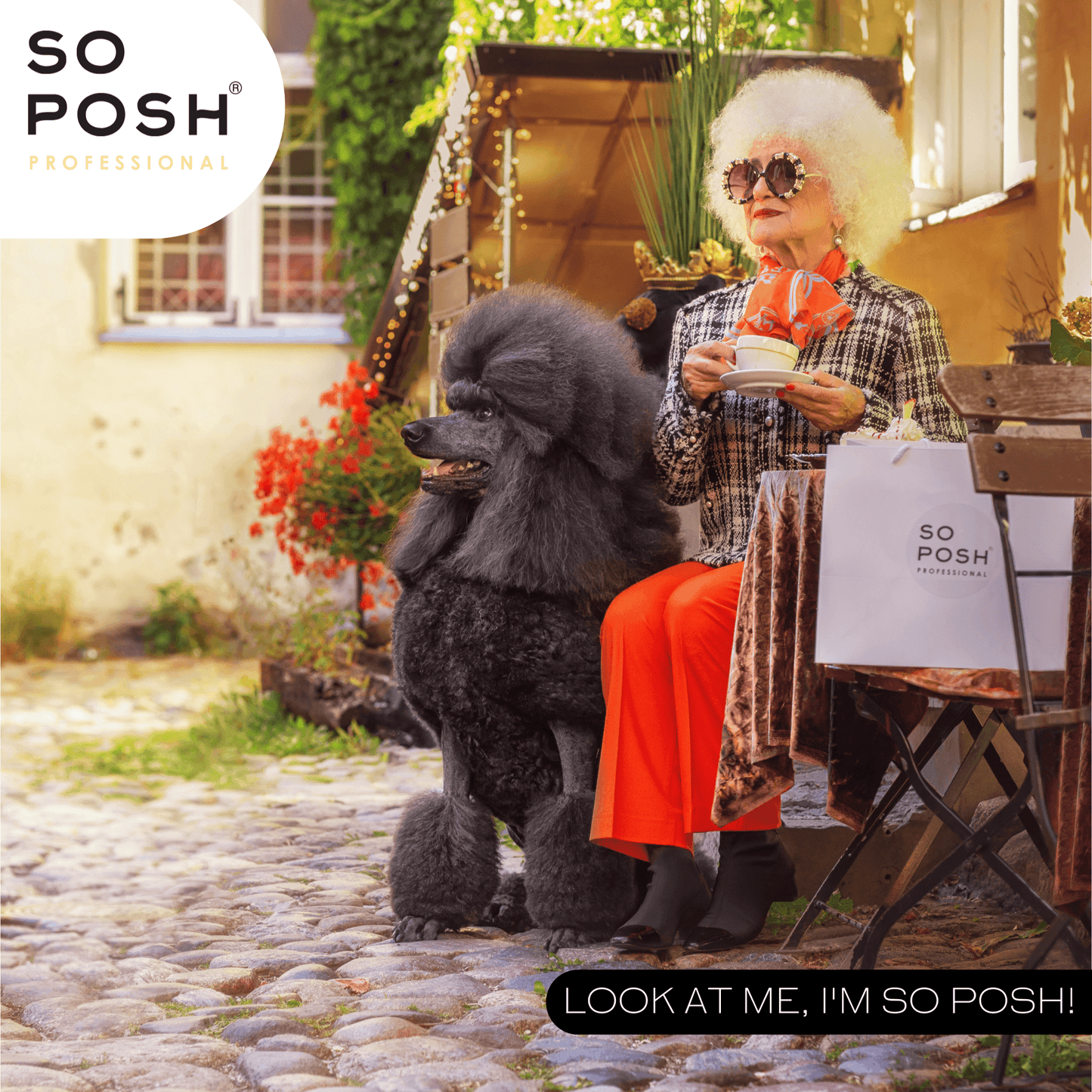 So Posh I'm So Fantastic Conditioner Feuchtigkeitsspendende Pflege für Hunde