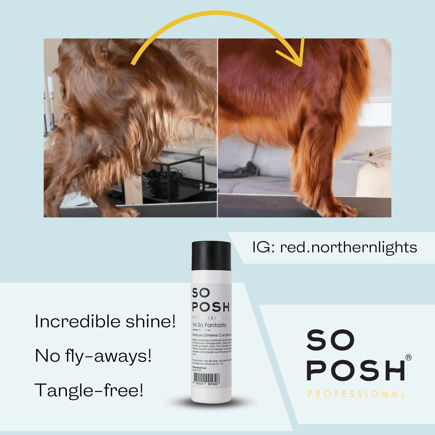 So Posh I'm So Fantastic Conditioner Feuchtigkeitsspendende Pflege für Hunde