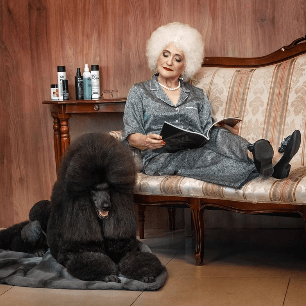 So Posh I'm So Fantastic Shampoo Tiefenreinigendes Shampoo für Hunde