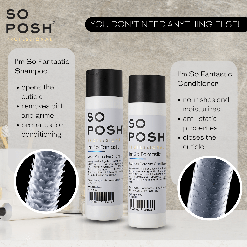 So Posh I'm So Fantastic Shampoo Tiefenreinigendes Shampoo für Hunde