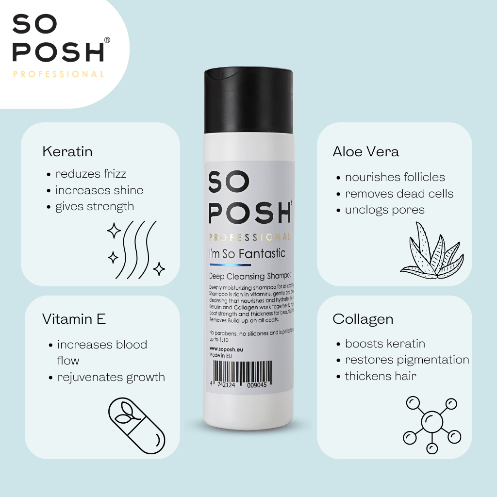 So Posh I'm So Fantastic Shampoo Tiefenreinigendes Shampoo für Hunde