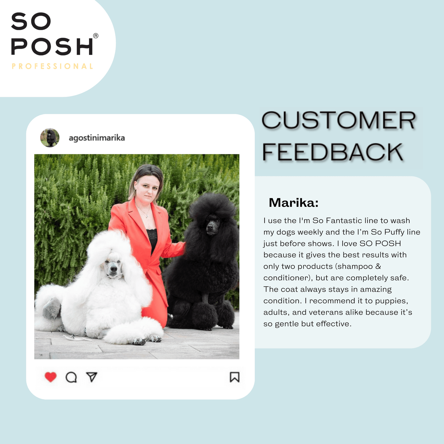 So Posh I'm So Puffy Conditioner Volumen & Textur für Show-fertiges Hundefell