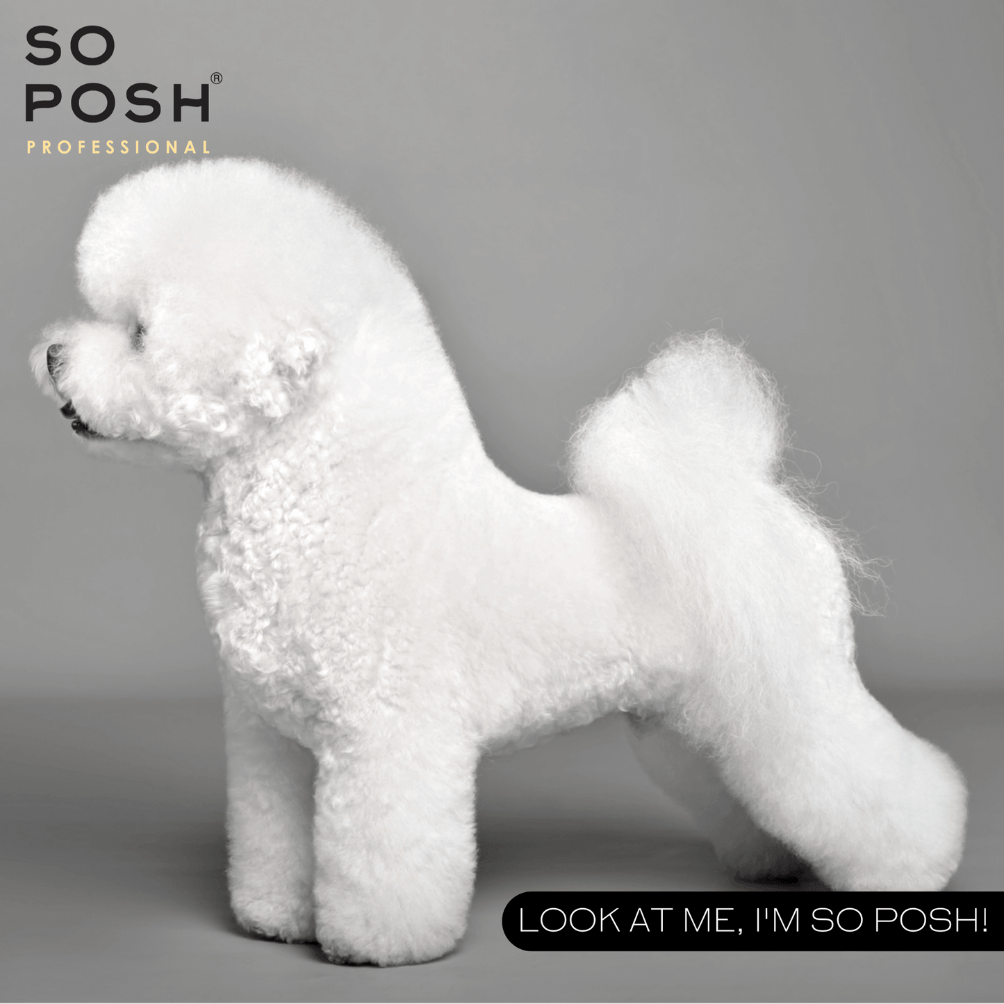So Posh I'm So Puffy Shampoo Tiefenreinigendes Shampoo für Volumen & Textur