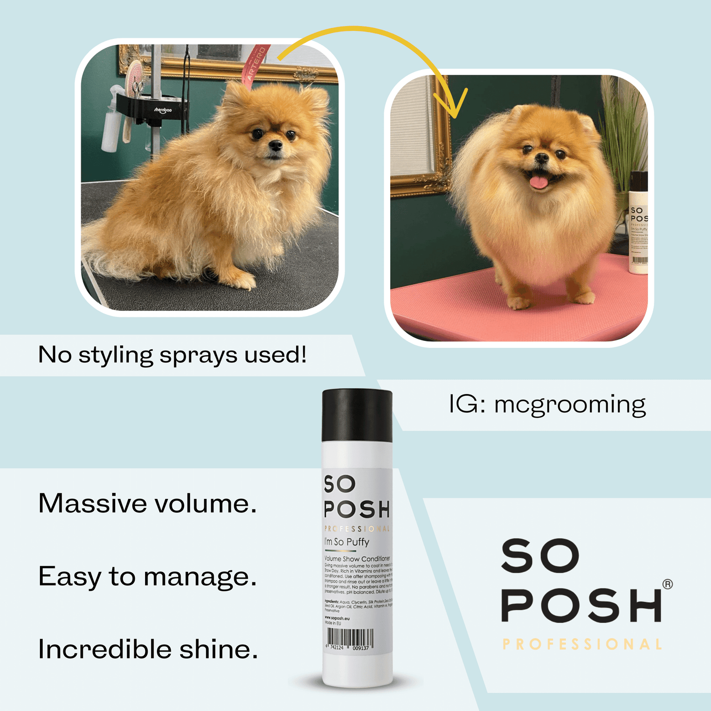 So Posh I'm So Puffy Shampoo Tiefenreinigendes Shampoo für Volumen & Textur