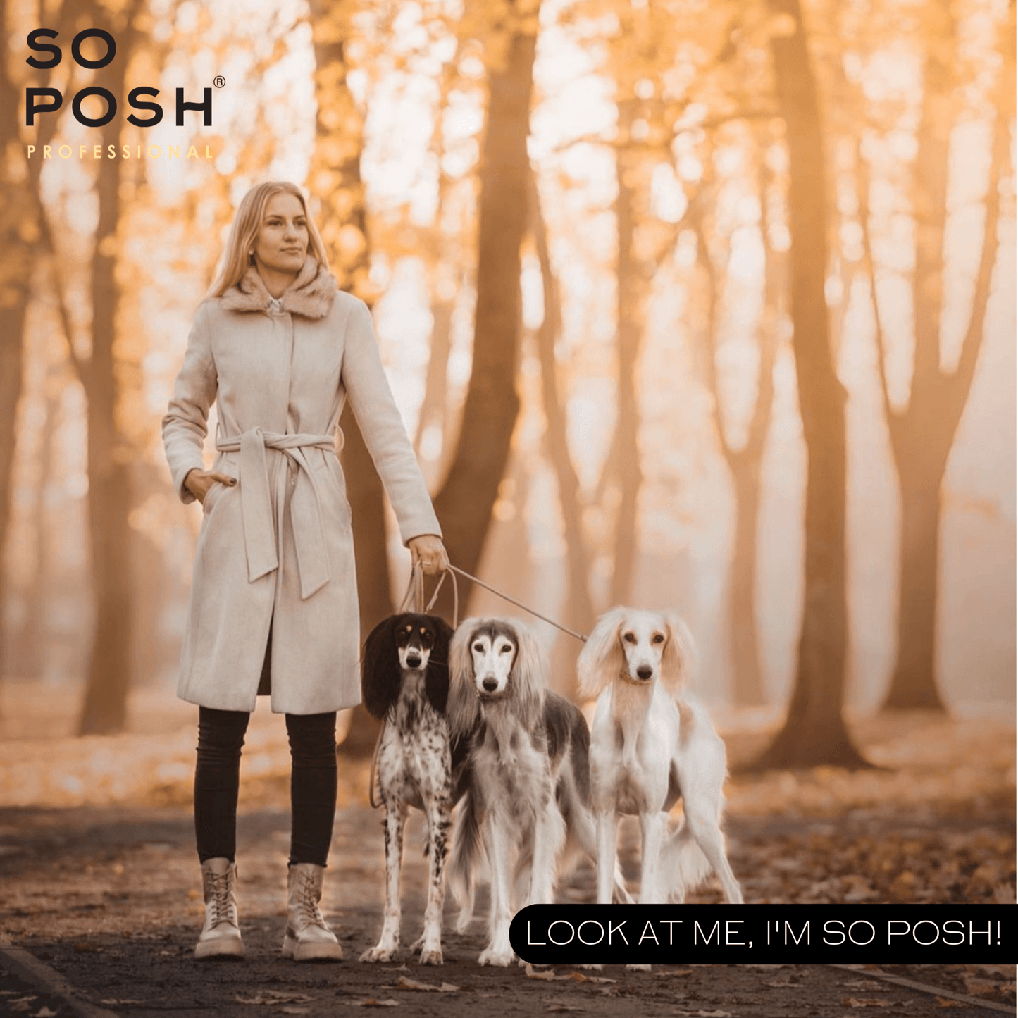 So Posh I'm So Silky Rinse-off Conditioner Pflege für Hunde mit Seidenprotein