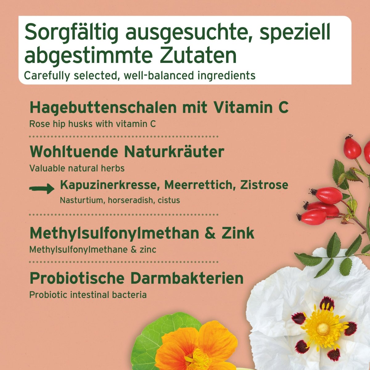 AniForte Immun-Boost Snack - stärkt die normale Immunfunktion von Hunden jeden Alters