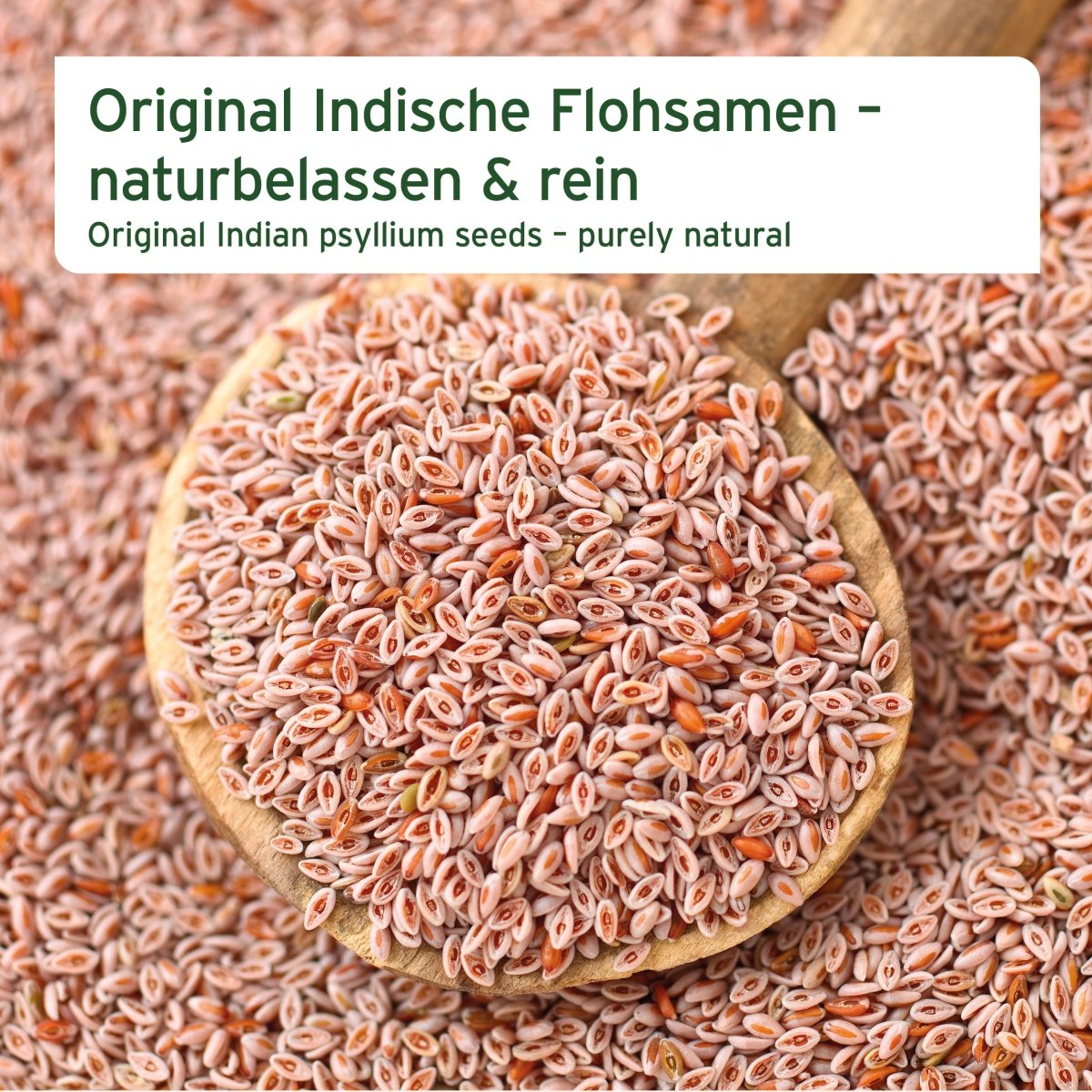 Aniforte Indische Flohsamen Verdauung & Darmflora für Pferde