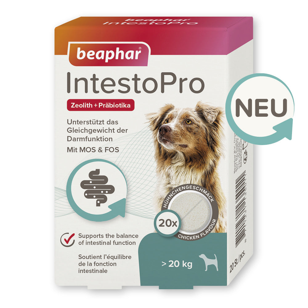 Beaphar IntestoPro Tabs - Nachfolger von RETO - für kleine und große Hunde, 20 Stück