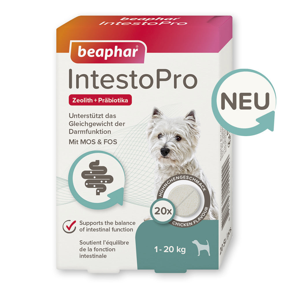 Beaphar IntestoPro Tabs - Nachfolger von RETO - für kleine und große Hunde, 20 Stück