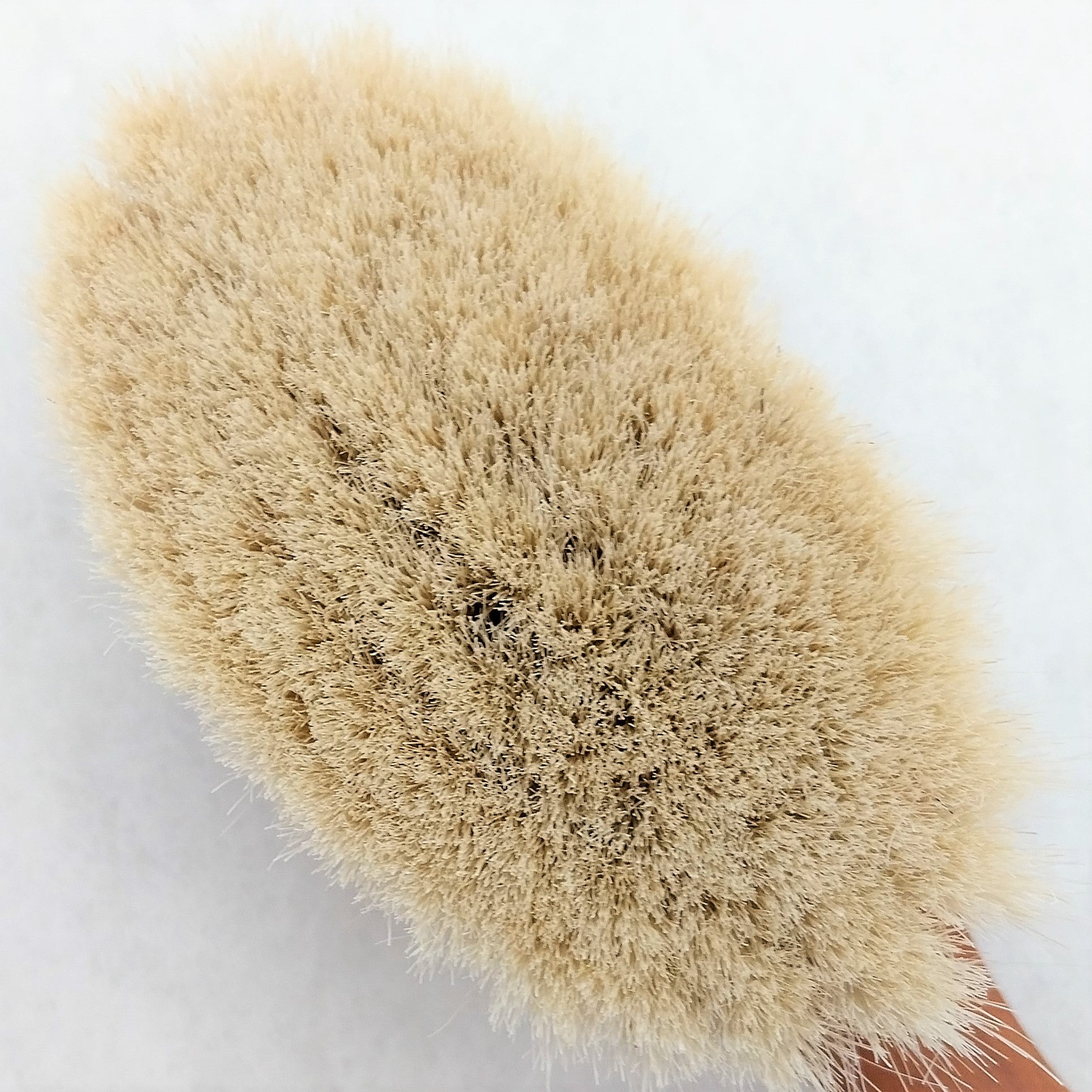 Keller Bürsten - Babyhaarbürste, Puder-, Gesichtsbürste aus Birnbaumholz und weichem Ziegenhaar