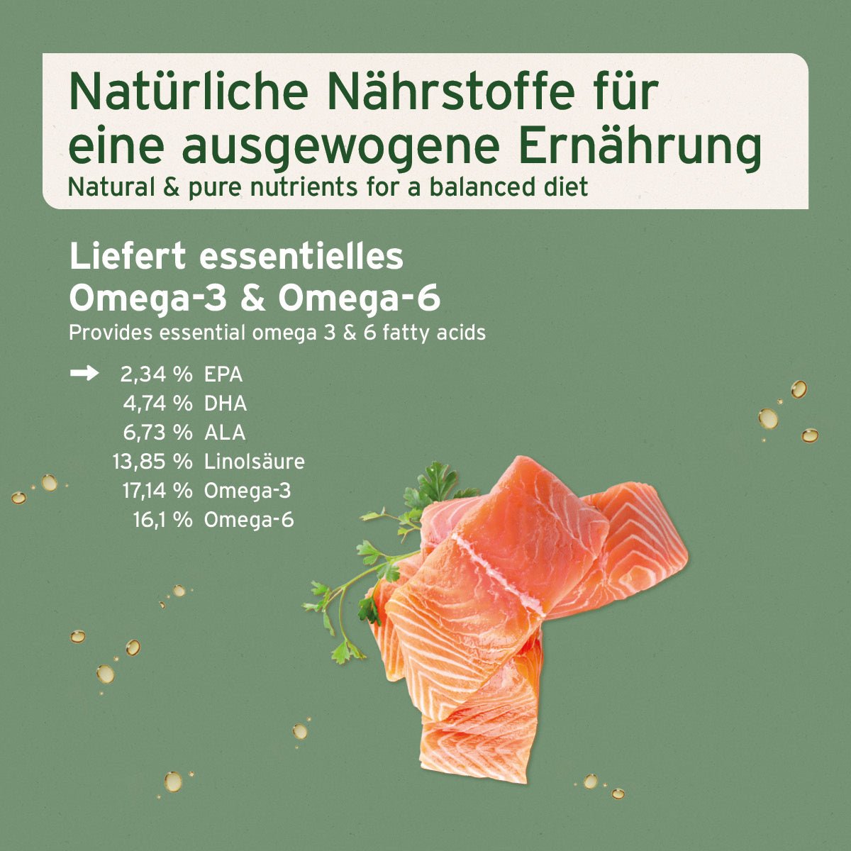 AniForte® Lachsöl unterstützt die Haut & glänzendes Fell für Hund, Katze und Pferd