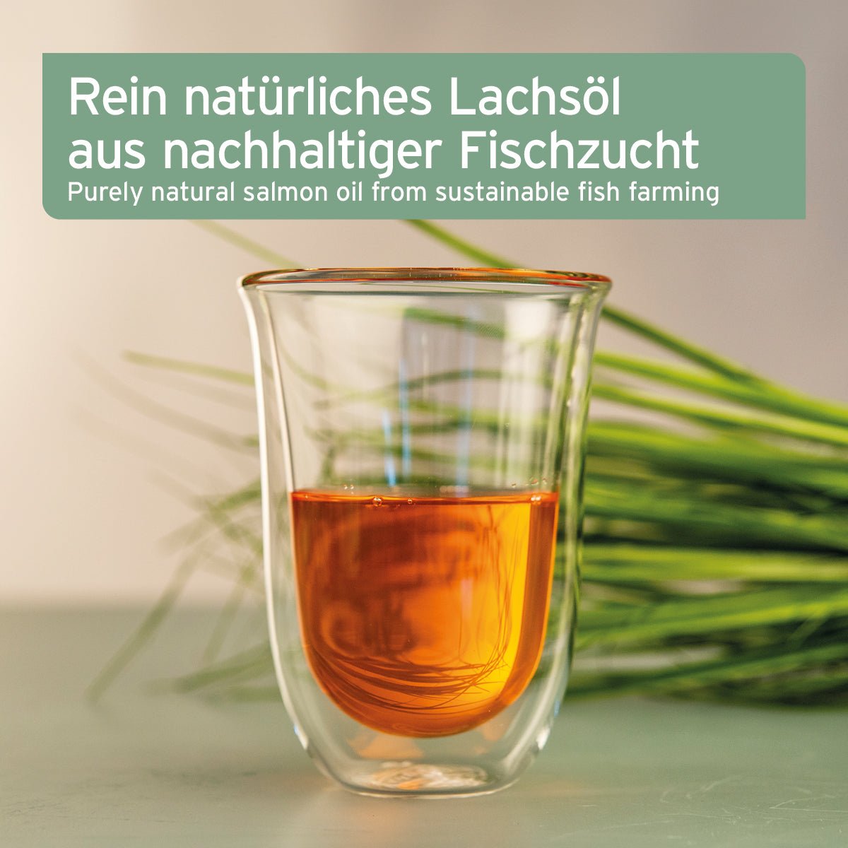 AniForte® Lachsöl unterstützt die Haut & glänzendes Fell für Hund, Katze und Pferd